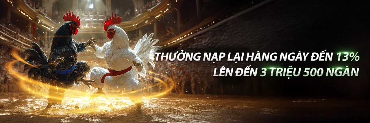 Tổng hợp khuyến mãi độc quyền 7fun7 nhà cái